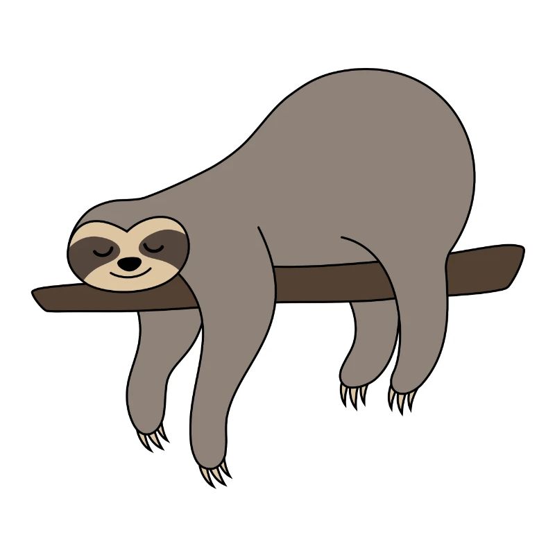 Sloth sleeping on branch sloth gray funny lazy