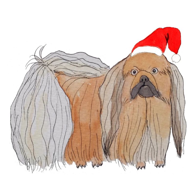 Pékinois de Noël
