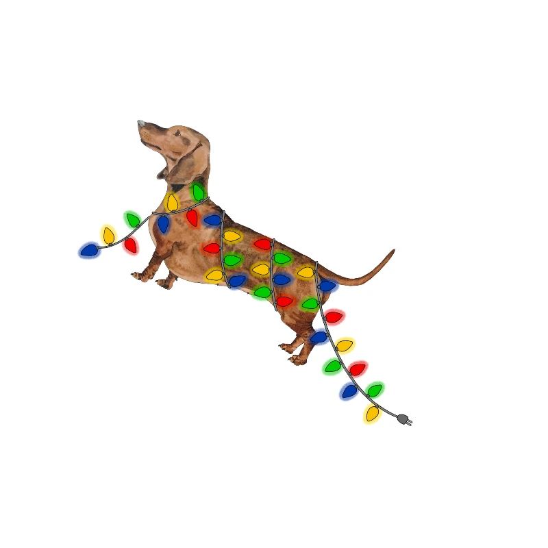 Weihnachten Dackel Weihnachtsdackel