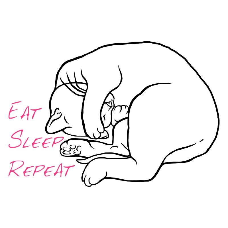 Manger dormir répéter