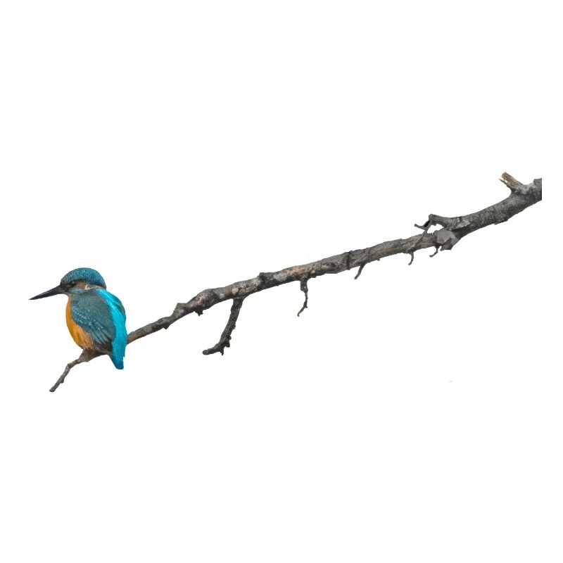 Eisvogel auf einem Ast