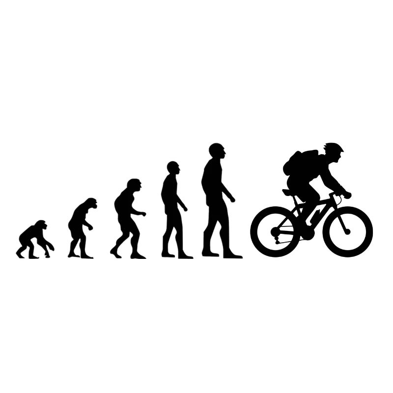 Evolution Mountainbike