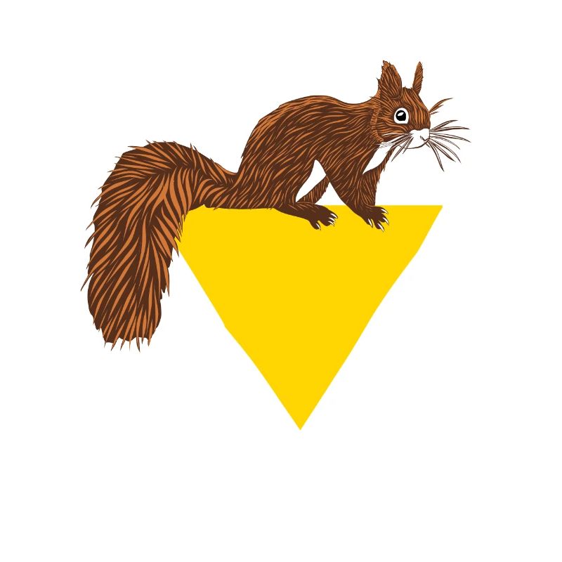 Squirrel Fuchshörnchen Grauhörnchen Eichhörnchen