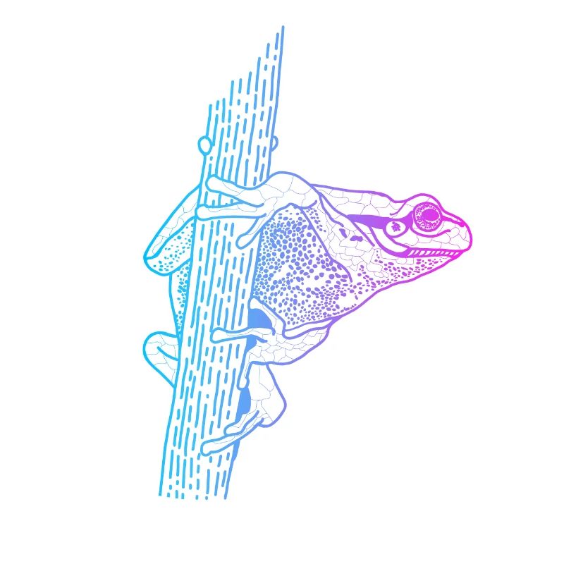 Tree Frog Toad Tadpole Frog Breeder Frog