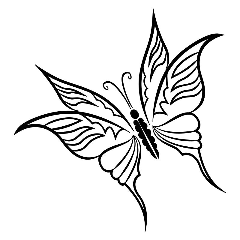 Butterfly Spring
