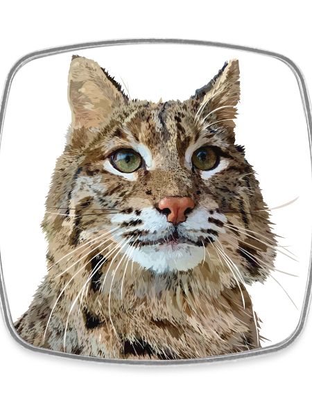 Lynx