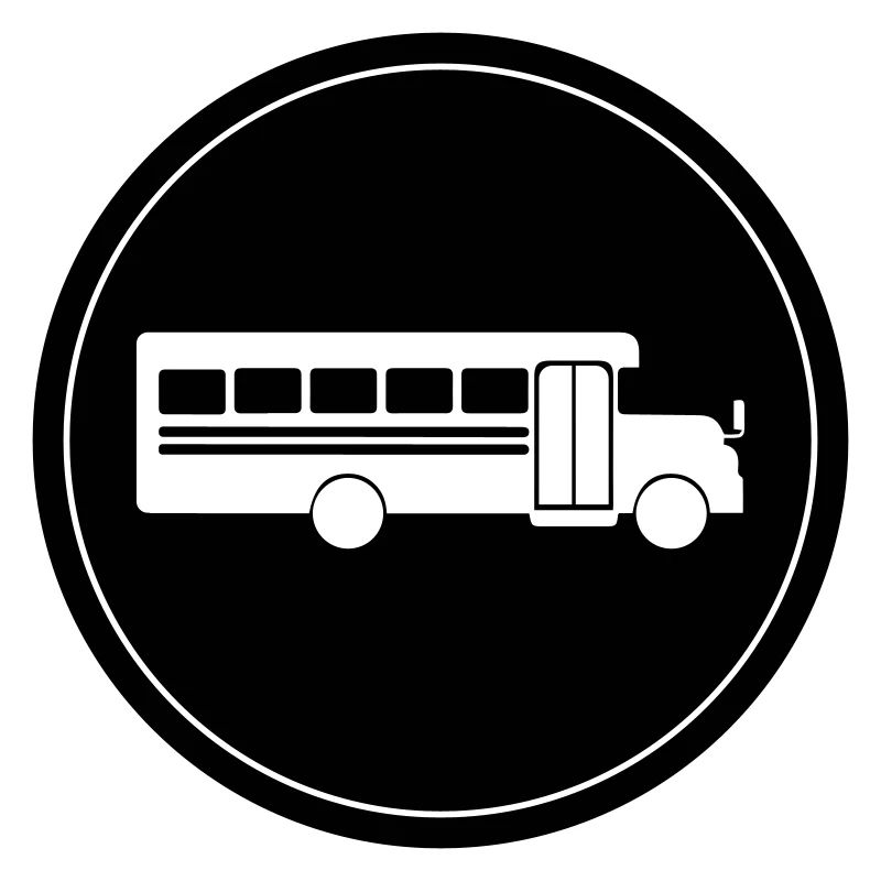 School school bus