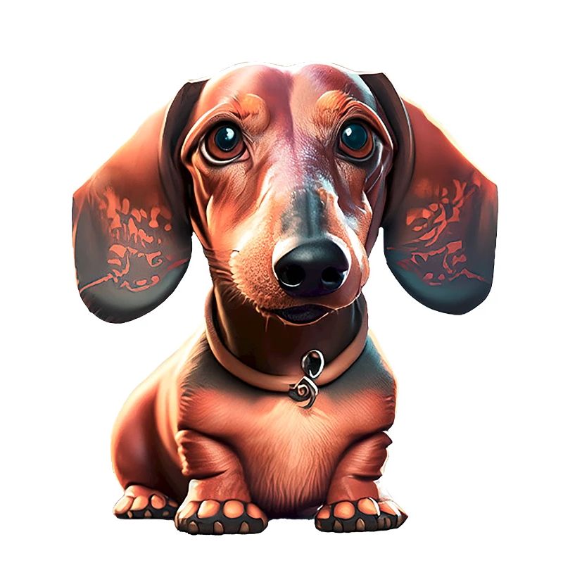 Dackel Dachshund Dackelbesitzer