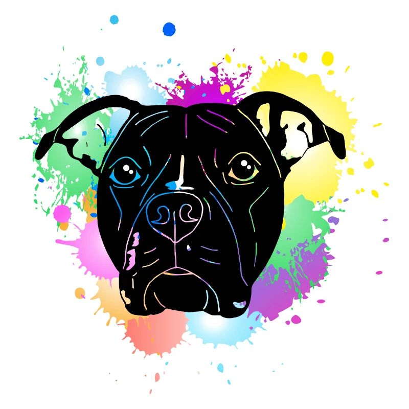 Pitbull Terrier mit Splash