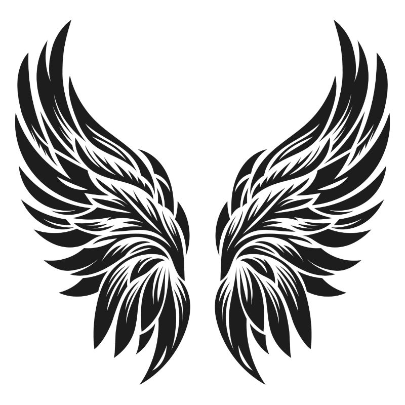 Ailes d’ange