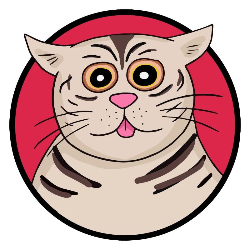 Strange cat