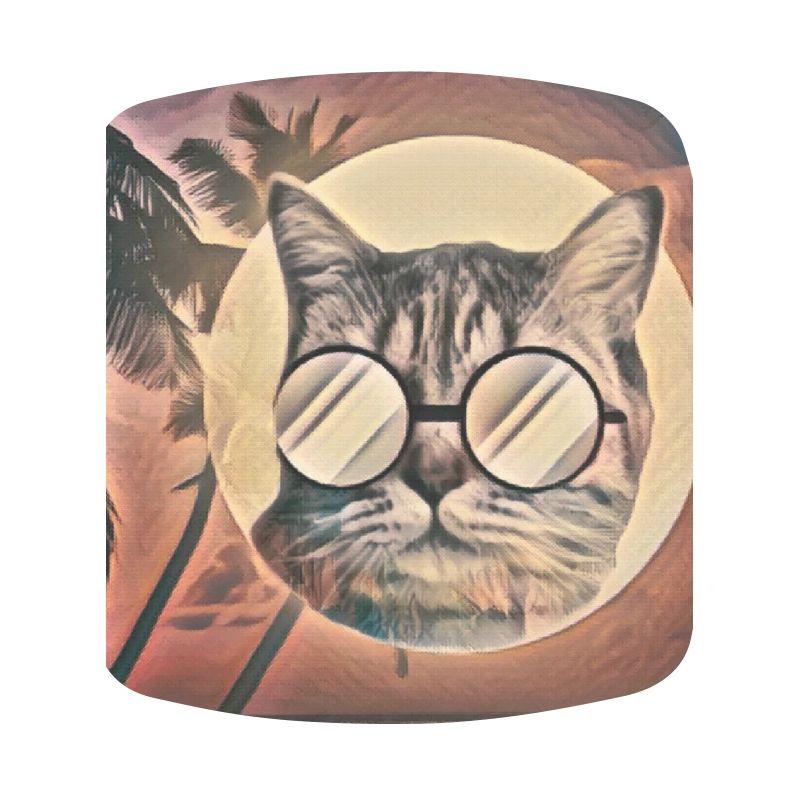 Saveur d’été de chat