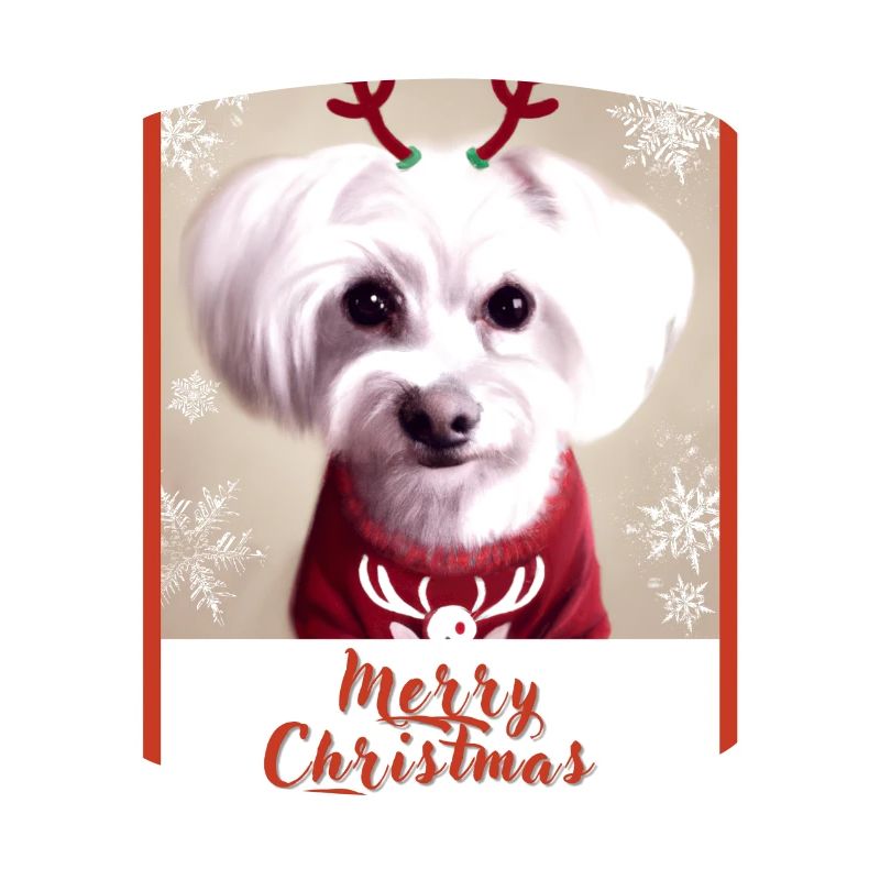 Chien maltais dans un pull de Noël rouge.