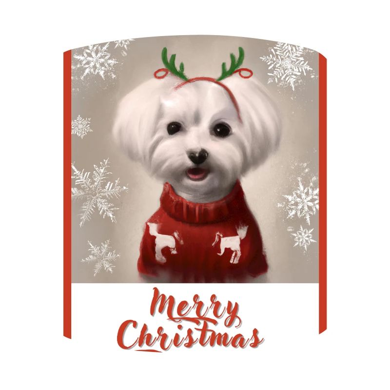 Doux chien maltais dans un pull de Noël rouge.