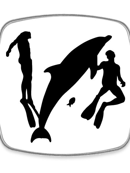 delphin_divers