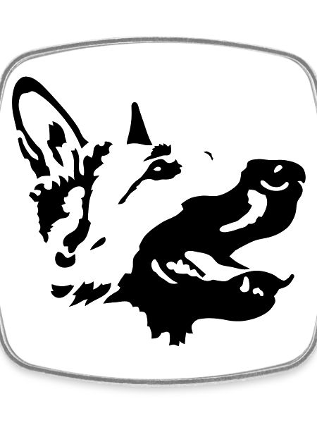 chien de berger