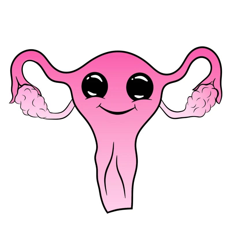 Utérus mignon mignon