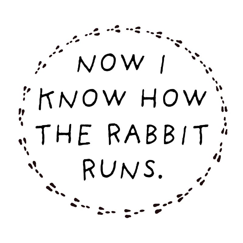 Now I know how the rabbit runs.