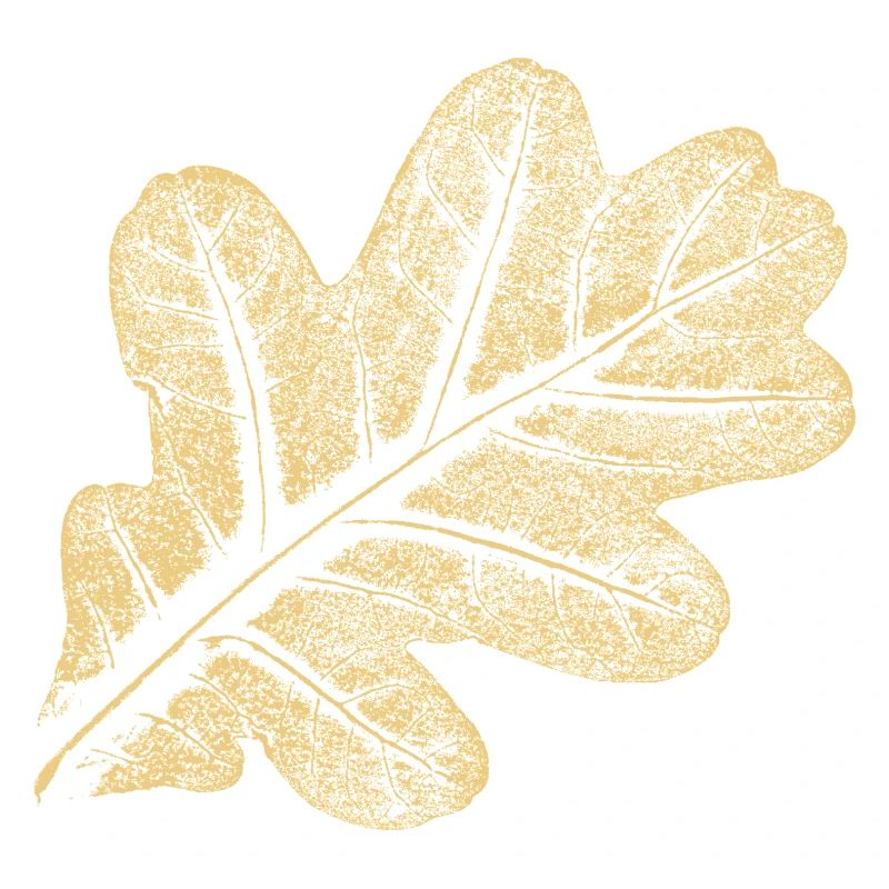 Blatt Eiche / Eichenblatt - Natur Design