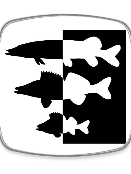 Pike and zander perch