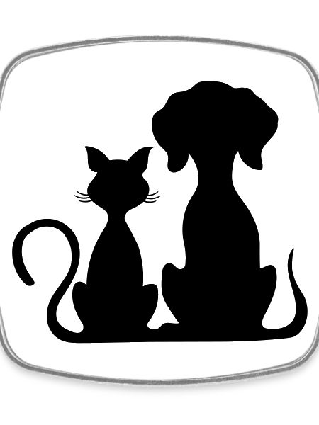 dog and cat