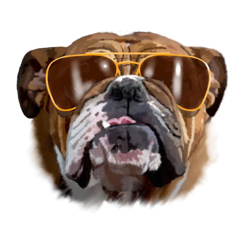 bouledogue