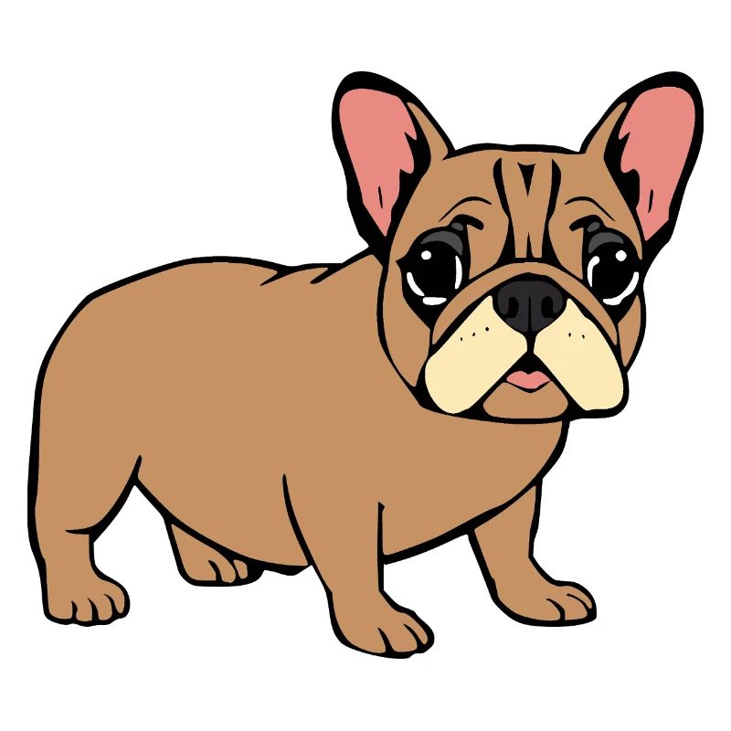 Bouledogue français