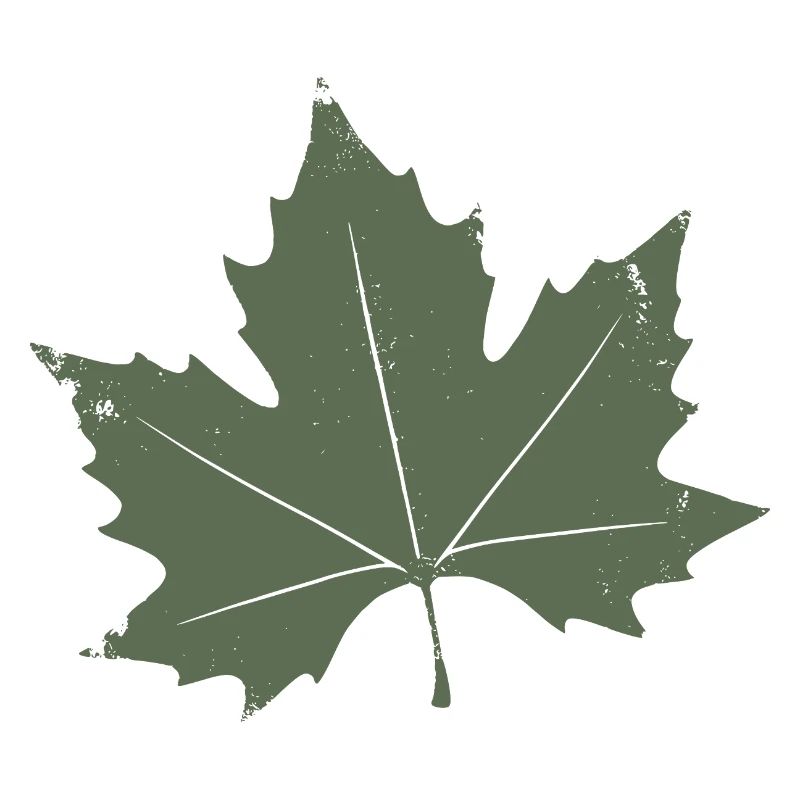 Feuille d’érable verte