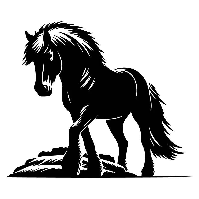 Pferd Isländer Islandpferd Islandpony