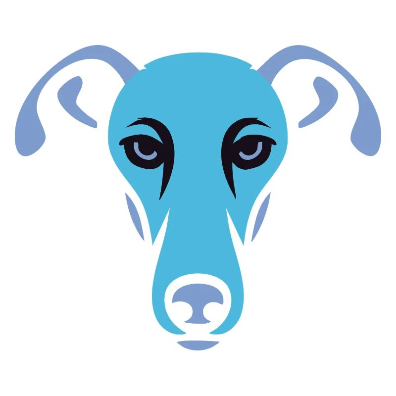 Lévrier, Galgo