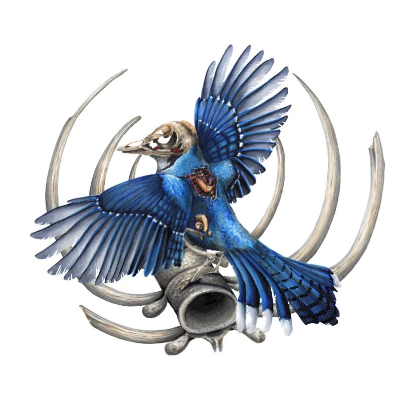 Blue Skull Bird