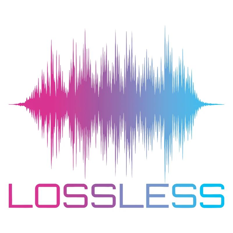 Format audio sans perte Son audiophile