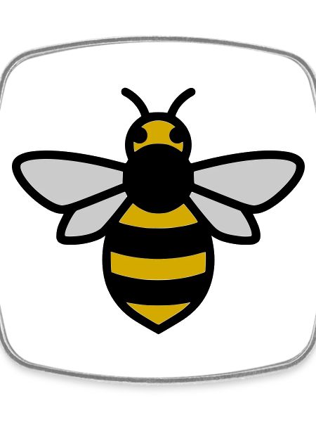 Bee Insect Cartoon