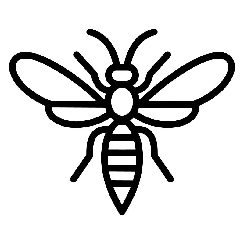 wasp