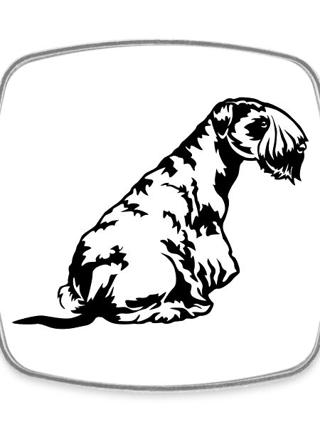 Cesky Terrier