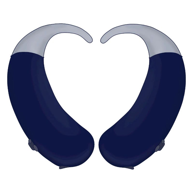 Heart and Hearing Aid