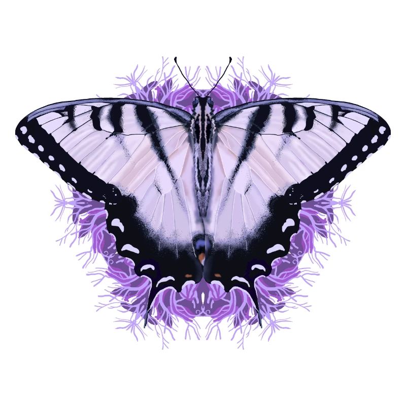 Papillon blanc à fleur pourpre