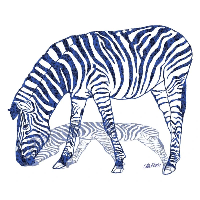 Zebra with zebra shadow