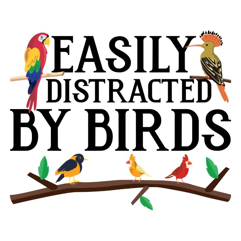 Facilement distrait par les oiseaux