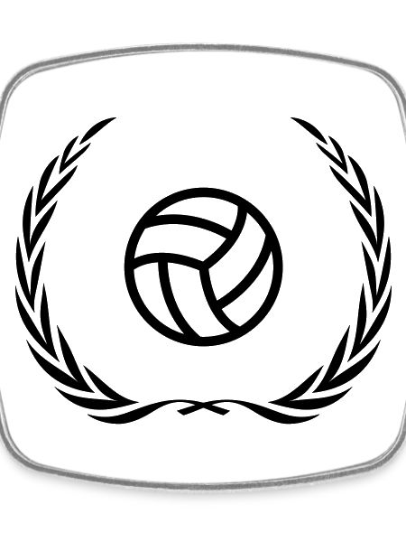 Volleyball Icon