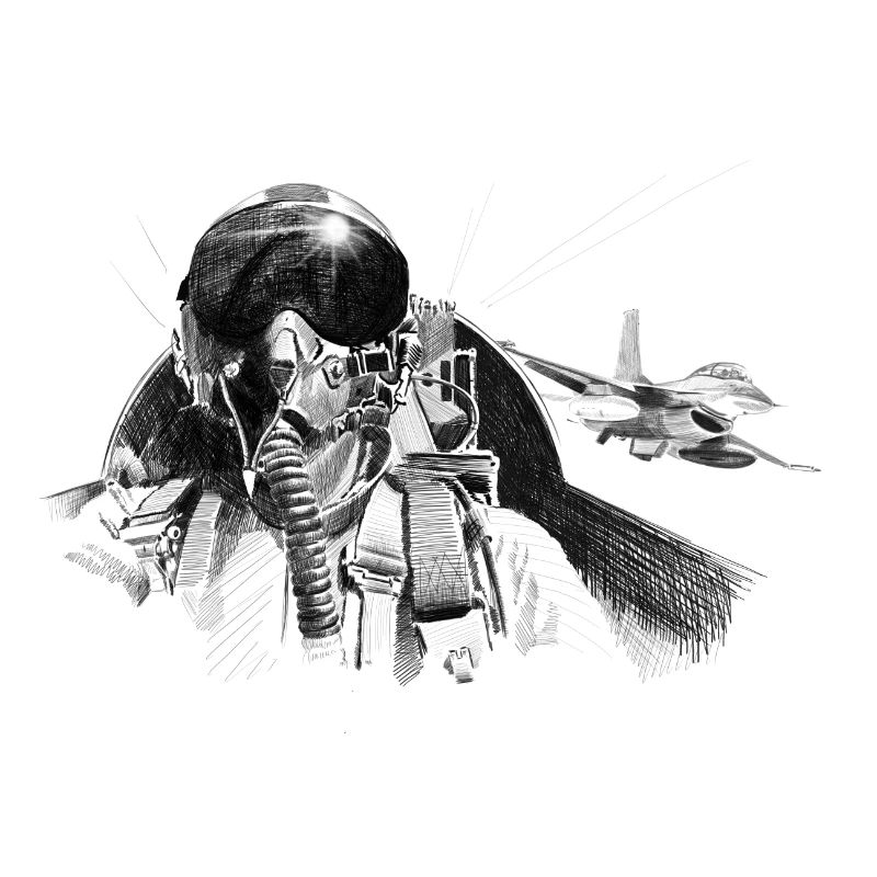 Fighter pilot