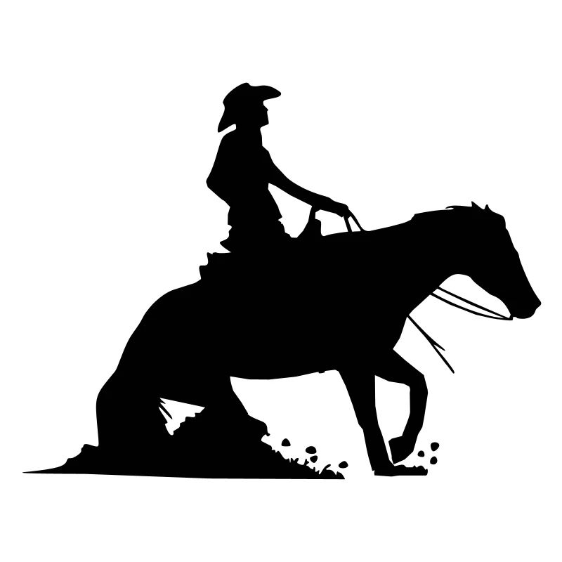 Equestrian Western Riding - Reining