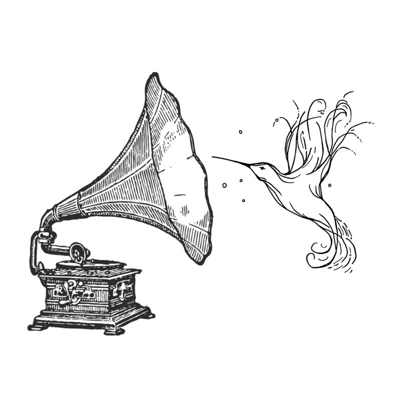 phonola et colibri