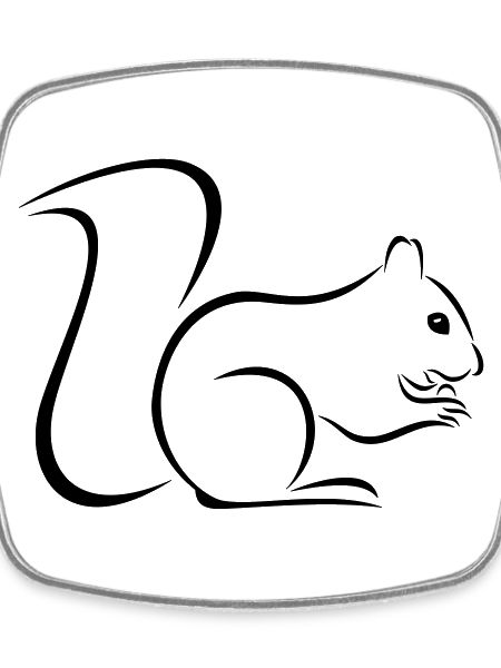 squirrel
