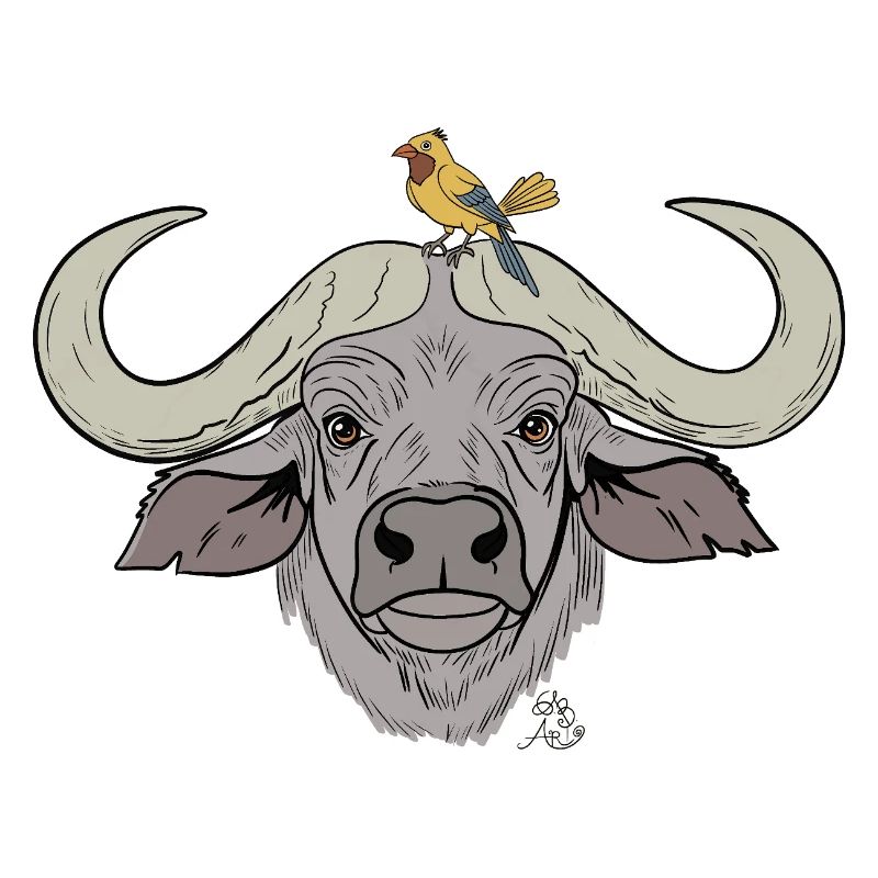 Stämmiger Büffel mit Singvogel