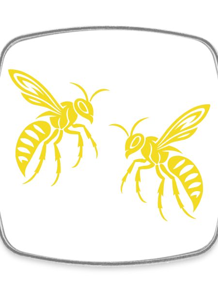 Bee Wasp