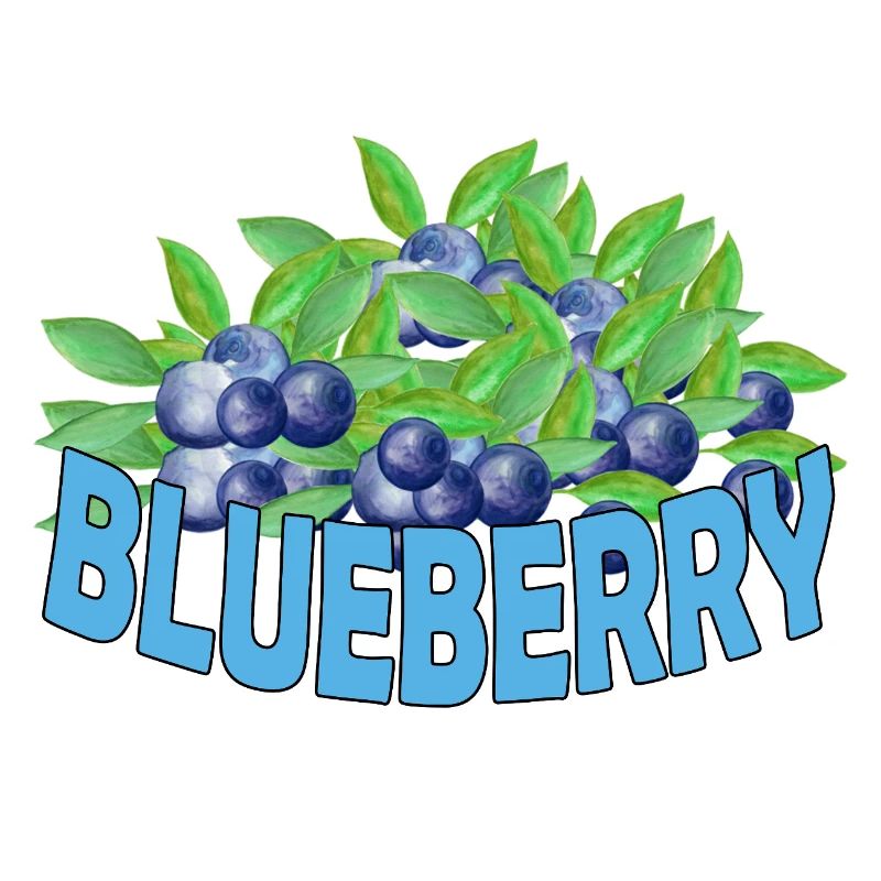 Blueberry