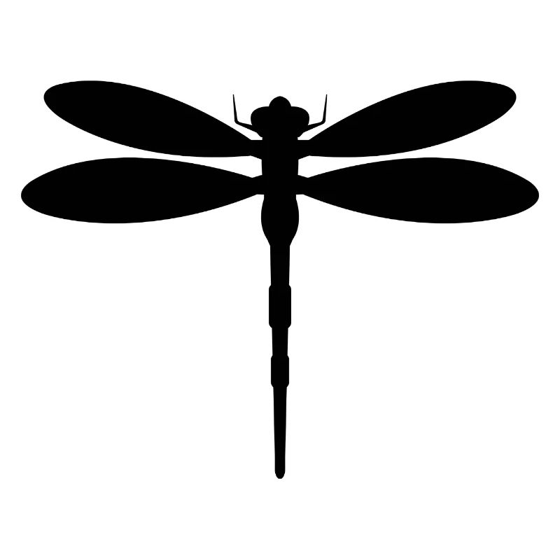 Libellule