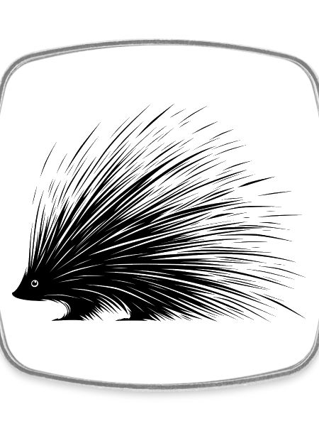 porcupine