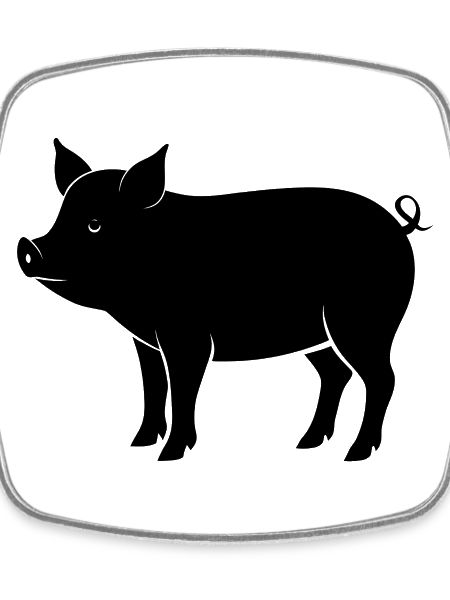pig